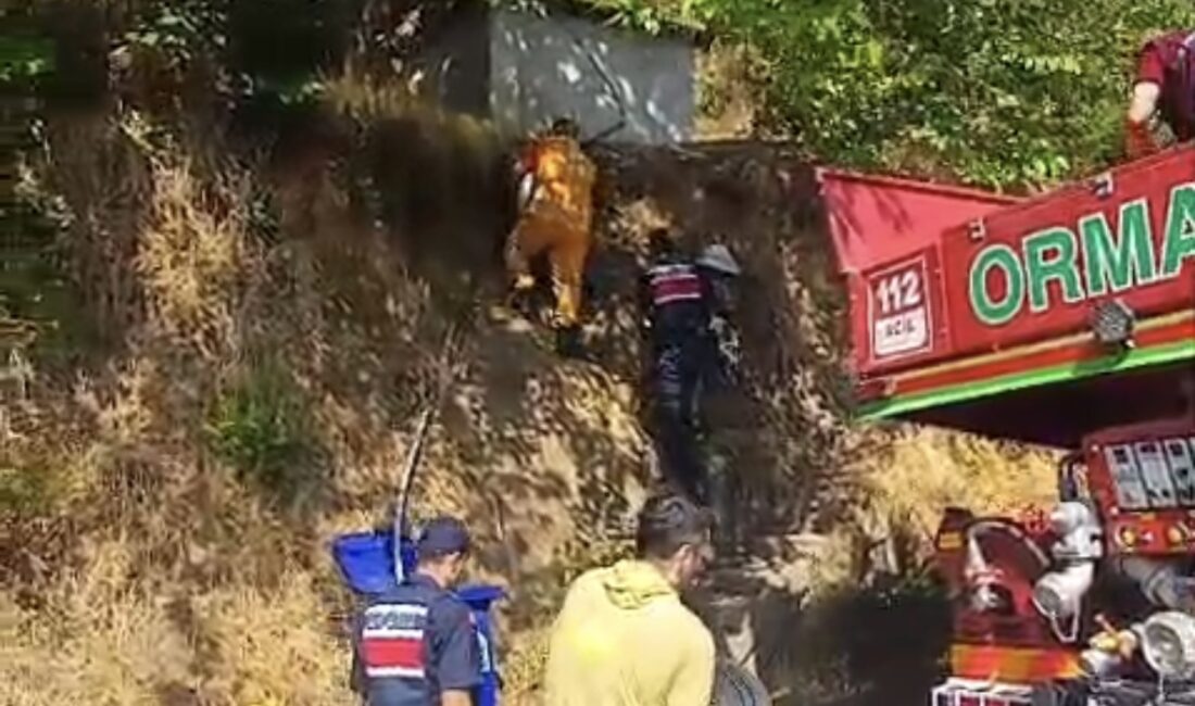 Son dakika: Kardeşler Köyü’nde yangın Zonguldak’ta Kardeşler Köyü’nde orman