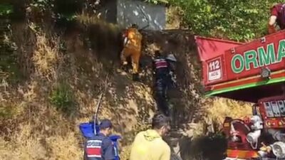 Son dakika: Kardeşler Köyü’nde yangın