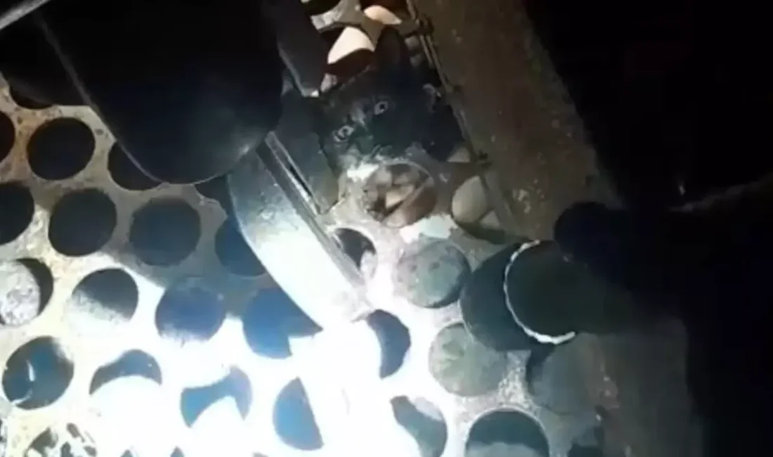 Kozlu ilçesinde mazgala başı
