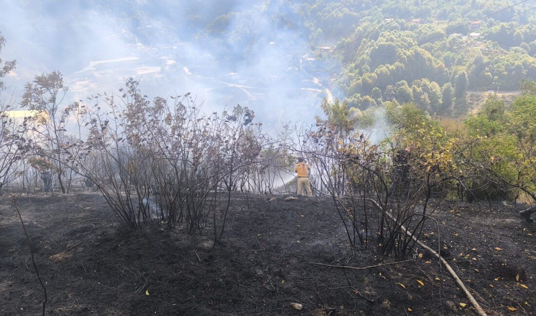 Zonguldak'ın Kilimli ilçesine bağlı