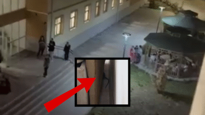 Kız yurdunda şok olay! Böcek ve fareler bastı