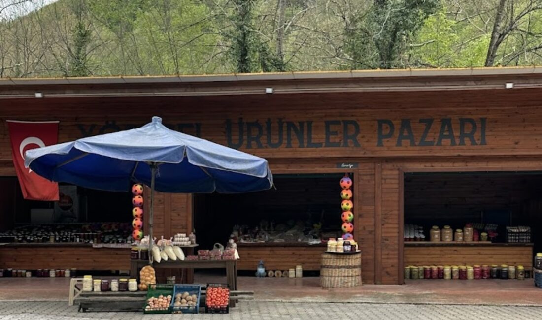 Zonguldak’ta, 2017 yılında 150