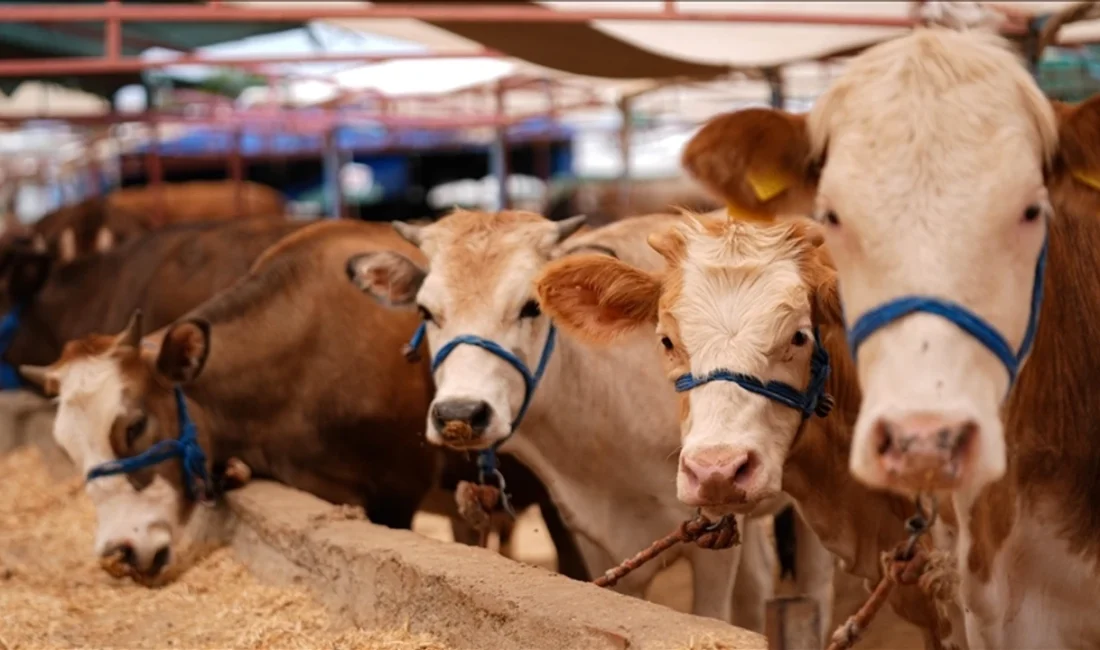 Zonguldak İl Tarım ve