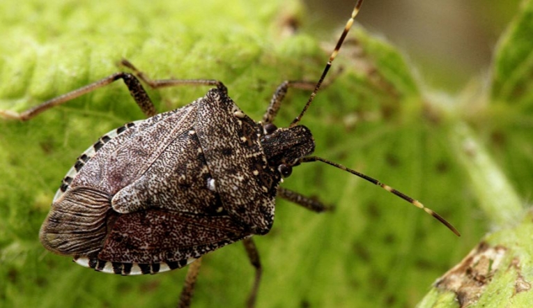 Zonguldak İl Genel Meclisi’nin