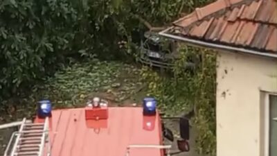 Çaycuma’da ağaç otomobilin üzerine devrildi