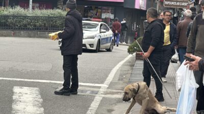 Gazipaşa Caddesi’nde uyuz köpek paniği!