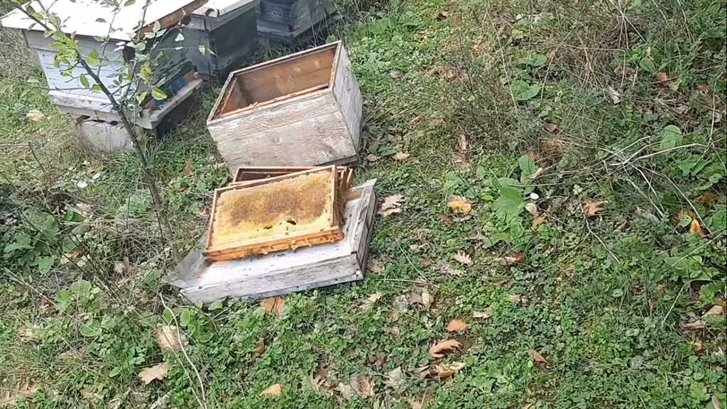 Çaycuma ilçesinde bir vatandaş