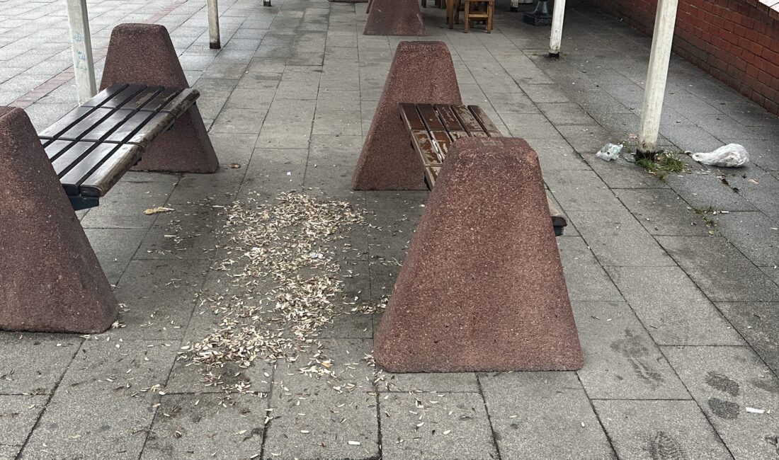 Zonguldak’ın Acılık semtinde bulunan