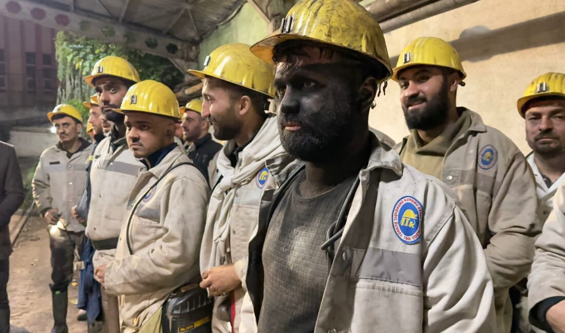 Türkiye Taşkömürü Kurumu (TTK)