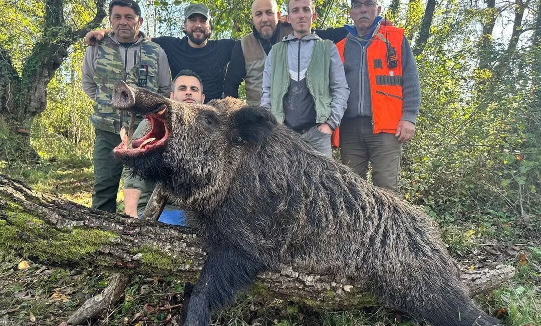 Zonguldak’ın ormanlık alanlarında düzenlenen