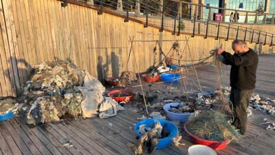 Zonguldak Liman arkasında balık tutmak için denize açılan balıkçıların ağlarına