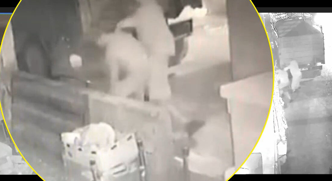 Babaanne ve 2 torununun öldüğü bıçaklı kavga anı ortaya çıktı ZONGULDAK’ta Nazmiye Köroğlu (75) ile torunları Halil Can (24) ve