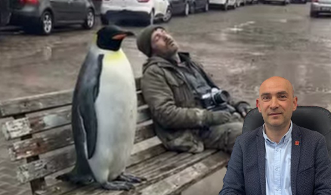 Cumhuriyet Halk Partisi (CHP) Zonguldak İl Başkanı Devrim Dural, sosyal