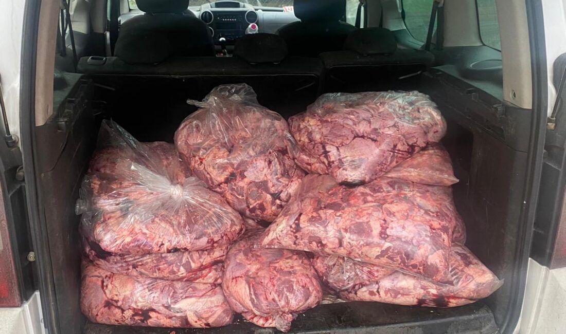 Zonguldak’ta 450 kilo bozuk et ele geçirildi Zonguldak’ta jandarma ekipleri yaptıkları kontrolde hafif ticari araçta 450 kilo