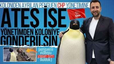 CHP Zonguldak İl Örgütünün ‘Uyuyan Basın’ kurgusuyla yer verdiği penguenli