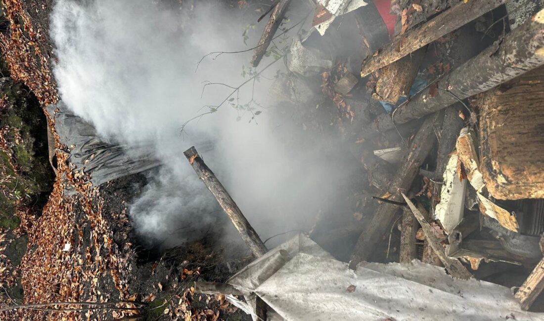 ZONGULDAK’ta son bir haftada yapılan denetimlere tespit edilen 4 kaçak